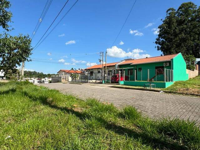 Terreno para Venda em Montenegro - 5
