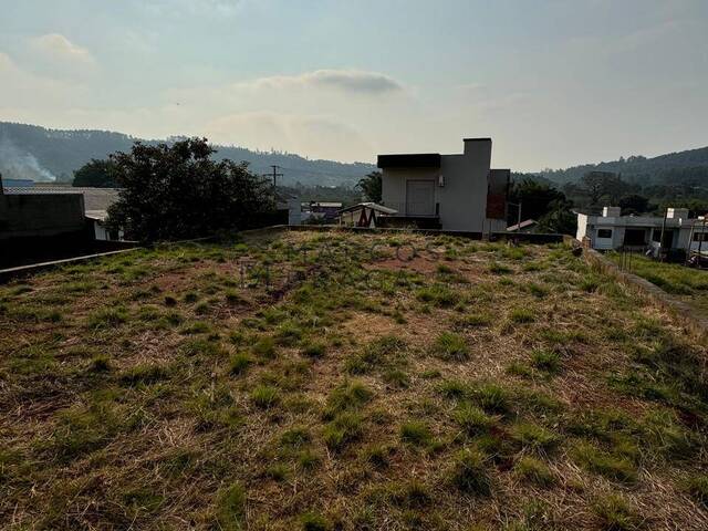 Terreno para Venda em Montenegro - 5