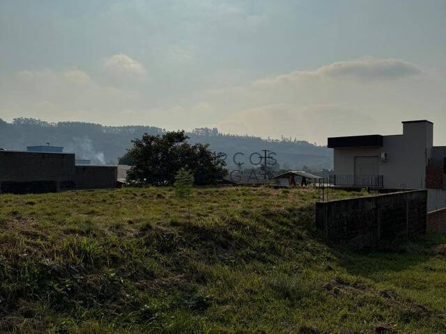 Terreno para Venda em Montenegro - 4