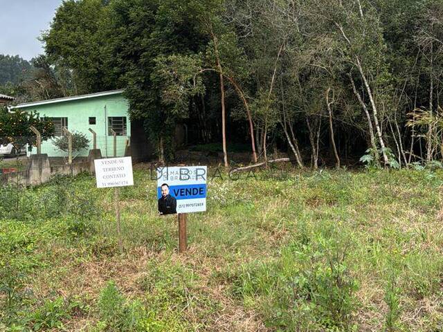 Área para Venda em Pareci Novo - 5