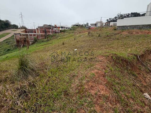 Terreno para Venda em Montenegro - 4